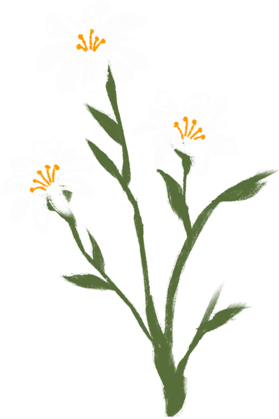Home 2 flower asset1