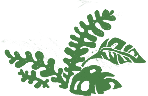 leaf asset10