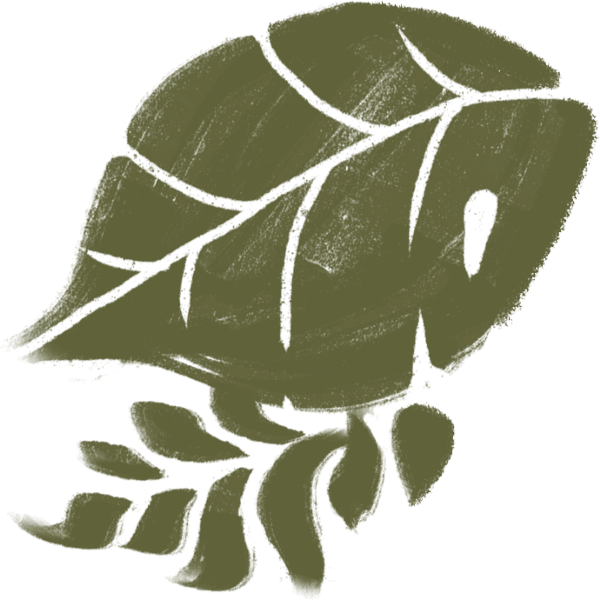 Stage Programmes 1 leaf asset11