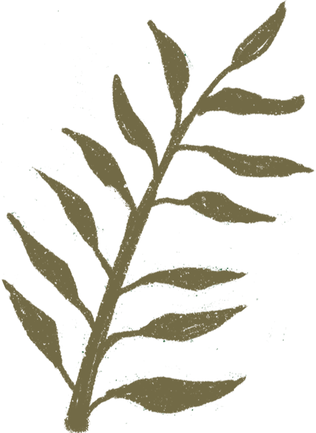Stage Programmes 2 leaf asset12