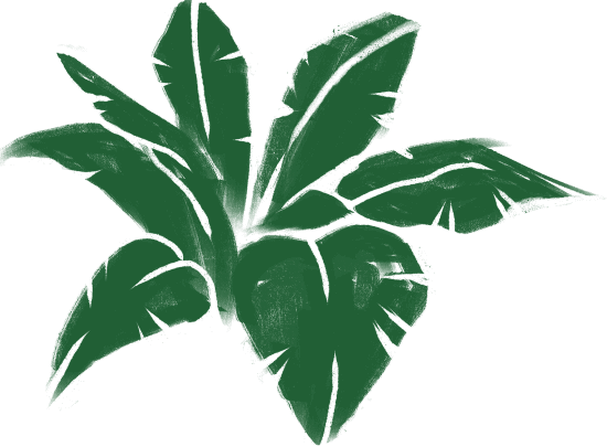 Home 7 leaf asset3
