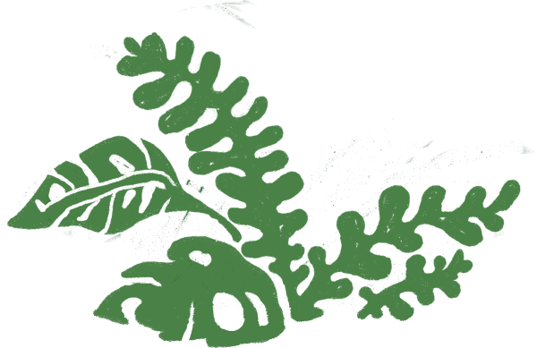 Home 3 leaf asset4