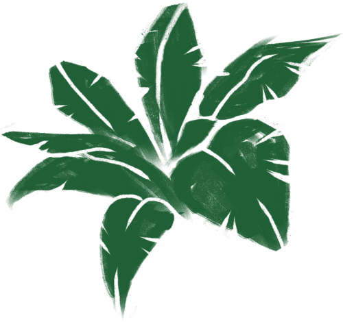 Frequently Asked Questions 2 leaf asset5